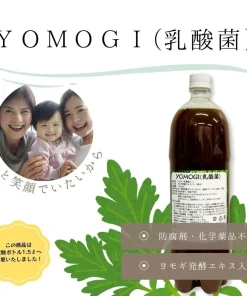 YOMOGI (Chiết xuất vi khuẩn lactic từ ngải cứu)