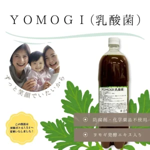 YOMOGI (Chiết xuất vi khuẩn lactic từ ngải cứu)
