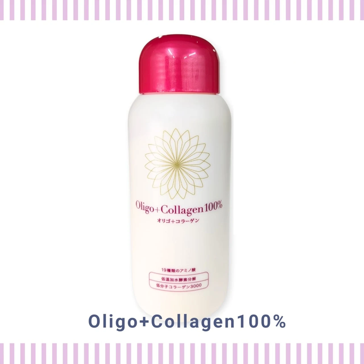 Oligo+Collagen100%