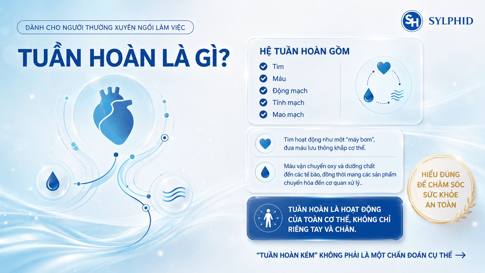 Tay chân lạnh có phải do tuần hoàn máu kém